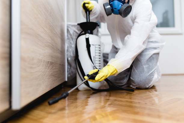 Best Rat Extermination Near Me  in Burlington, CO
